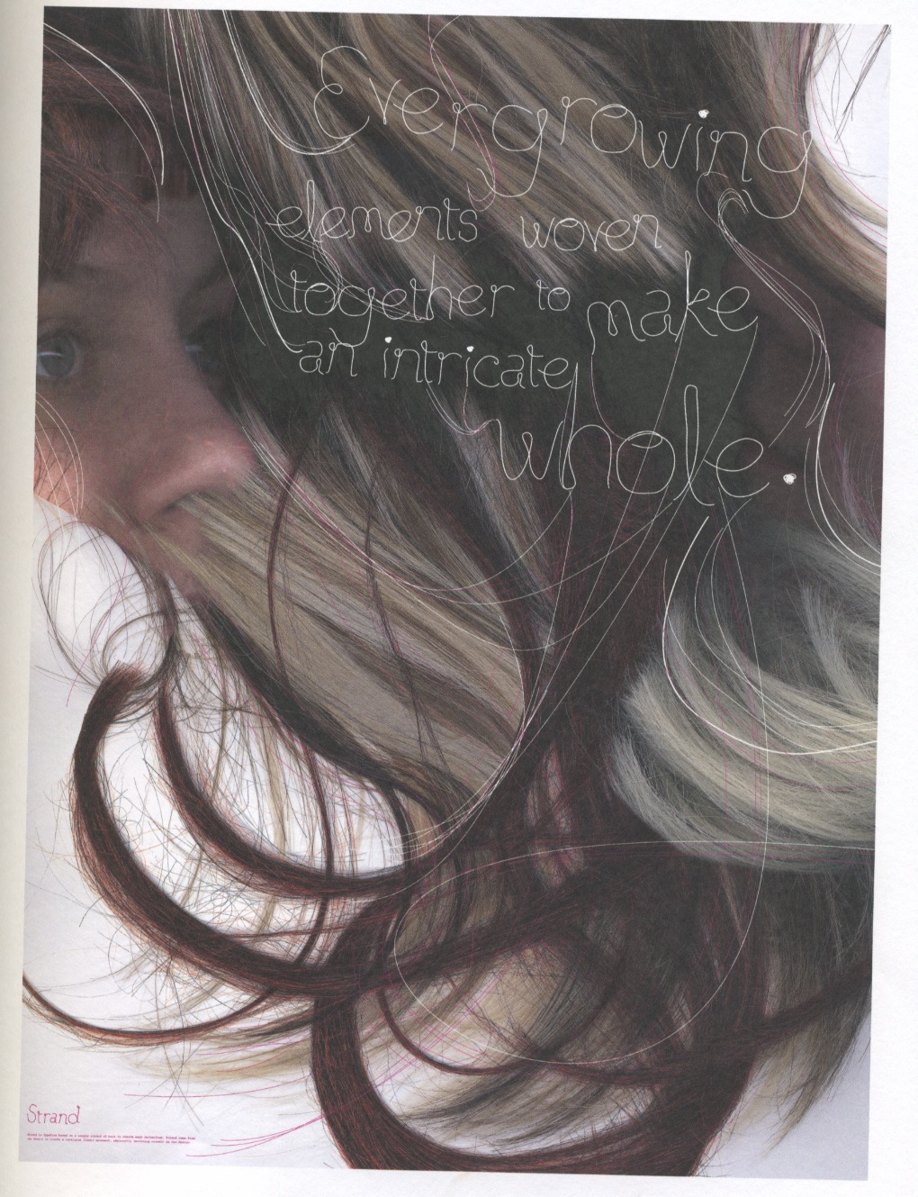 Design Context Hand Job A Catalog of Type By Michael Perry