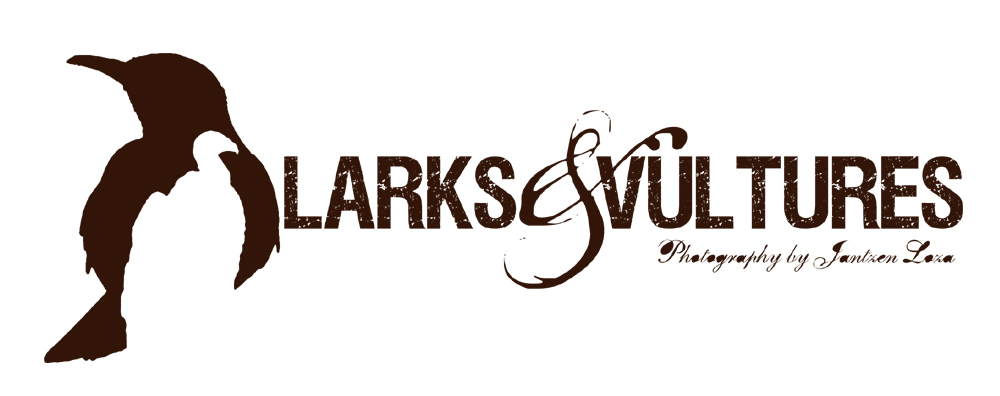 larks and vultures