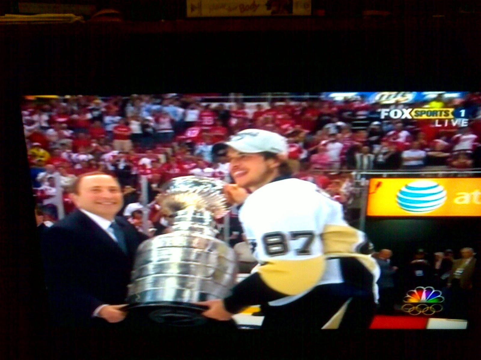 wdnicolson.com: PENGUINS WIN STANLEY CUP!