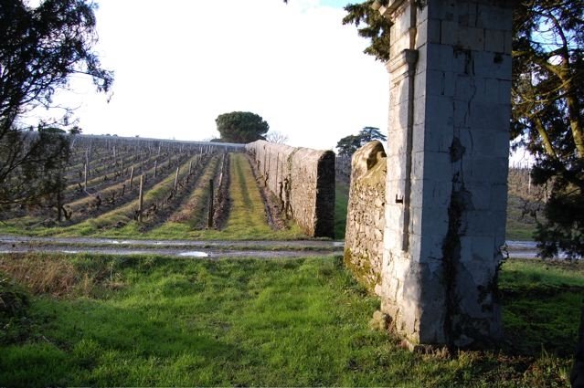 [vineyard+walls.JPG]