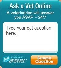 Ask a Vet Online
