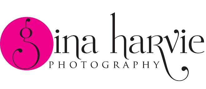 Gina Harvie Photographer