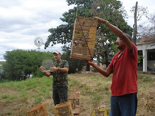 Servidores do IBAMA-PB realizando soltura de animais silvestres no semiárido paraibano.