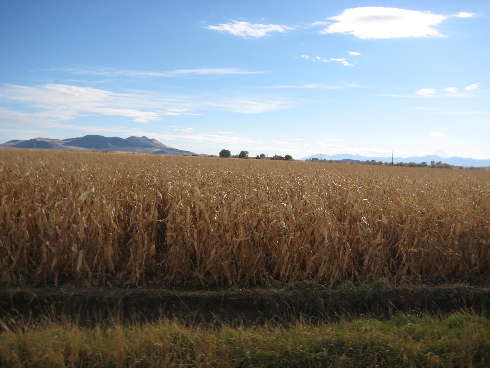 Shell's Photo Album Marble Park in Bothwell, Utah