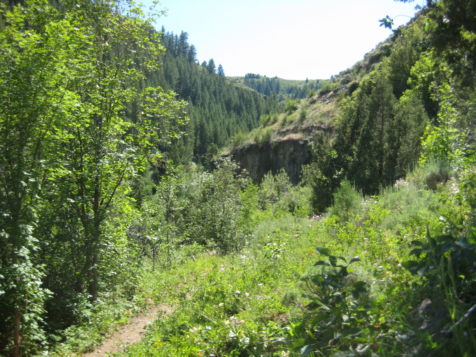 Shell's Photo Album Early Summer Hike Logan Canyon, Utah