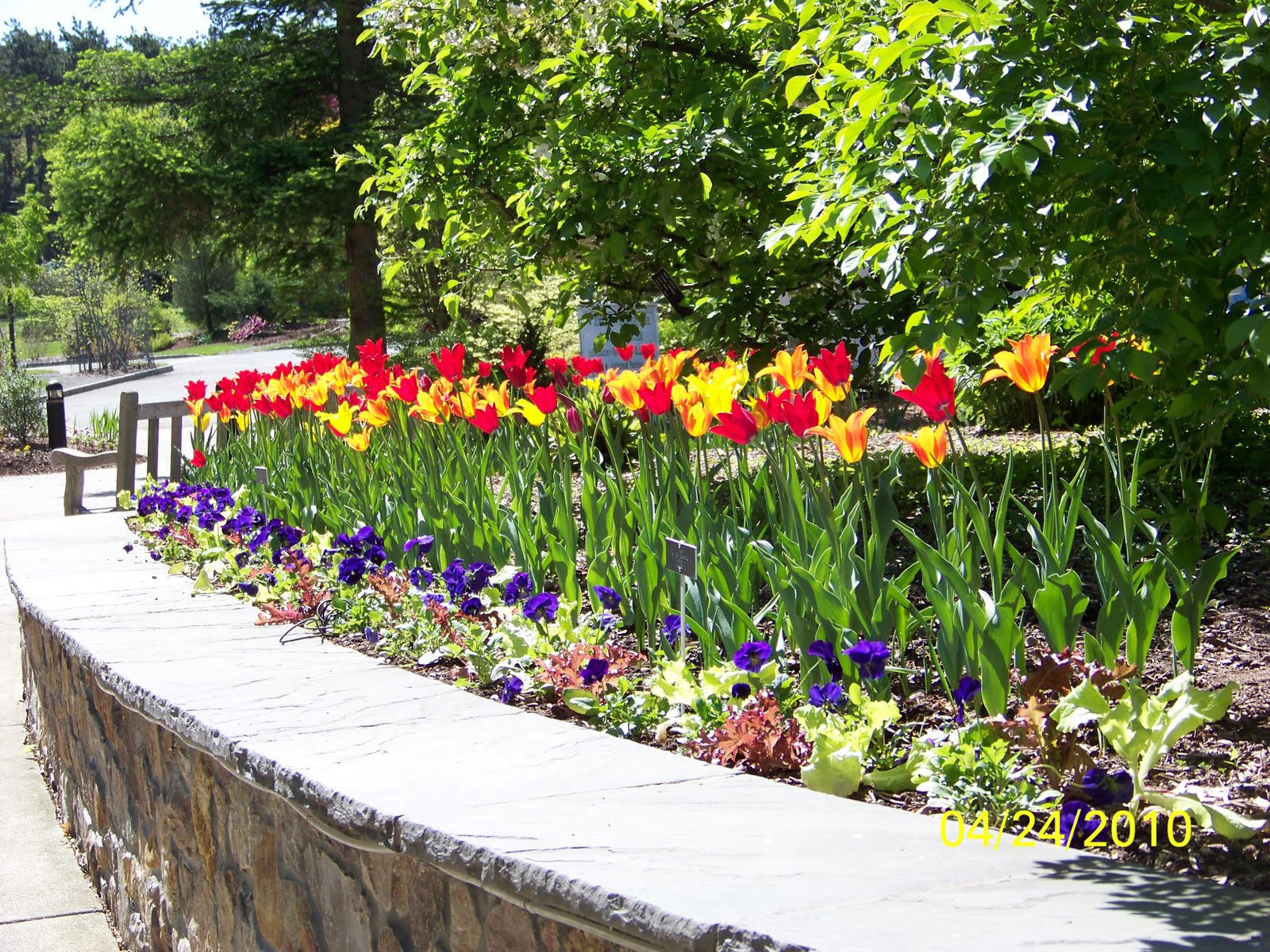 Up. Frelinghuysen Arboretum, Morristown, NJ