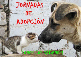 JORNADAS DE ADOPCIÓN