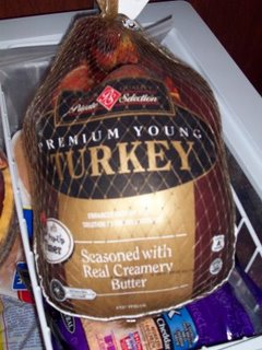 [turkey.JPG]