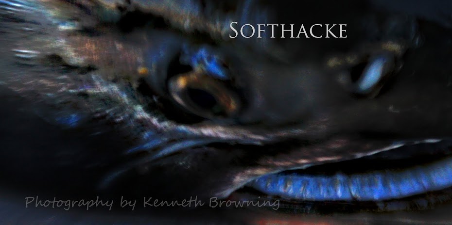 SoftHacke