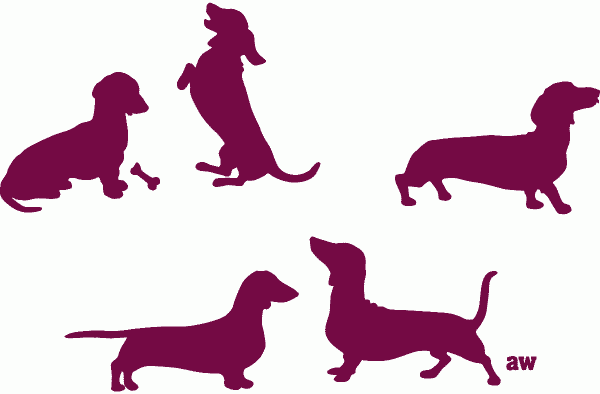 feines.stilgefühl Neue Sachen für den Hund