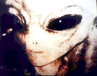 http://4.bp.blogspot.com/_7Bqr1I5gzyk/SOVaqdzHWFI/AAAAAAAABUA/Q4GT9Y15Ip0/s320/disclosure-alien.jpg