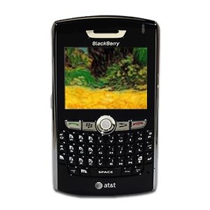 [Blackberry-8820-B529-0042-b.jpg]