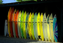 Surfboards in Hale'iwa