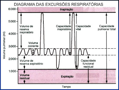 volumes+pulmonares.JPG