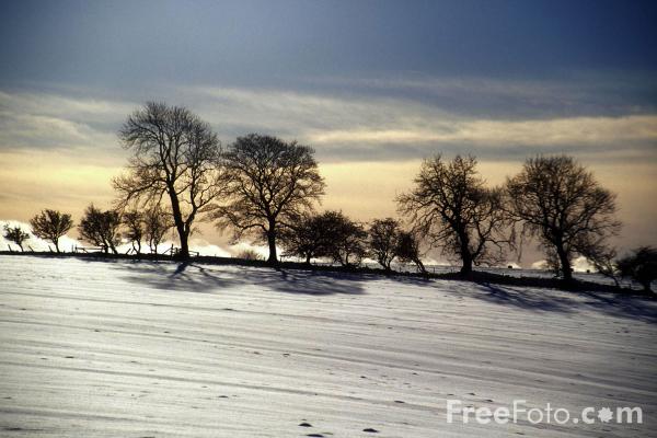 [90_09_10---Winter-Scene--Northumberland_web.jpg]