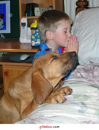 [Não+os+deixes+fazer+mal!+blog.jpg]