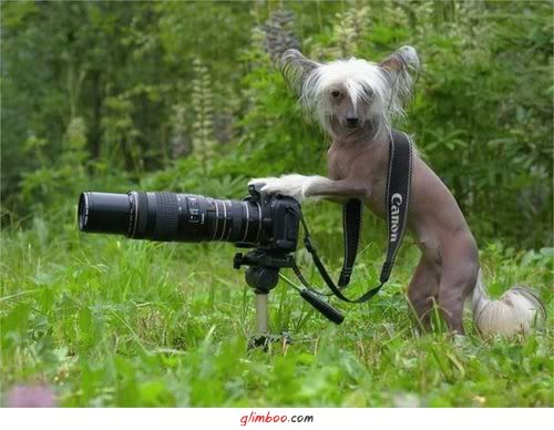 [Ofotógrafo+estava+lá...+blog.jpg]