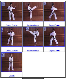 UNION MEXICANA DE TAEKWONDO: FORMAS ( kichos , taegeuks)