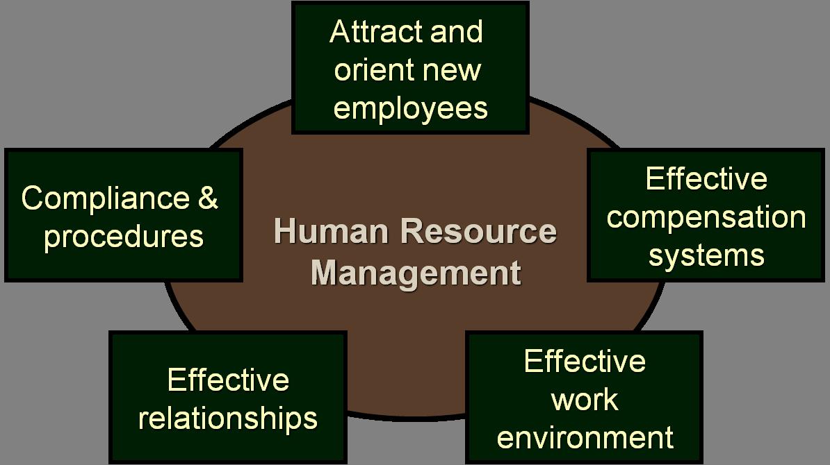 management-about-hrm