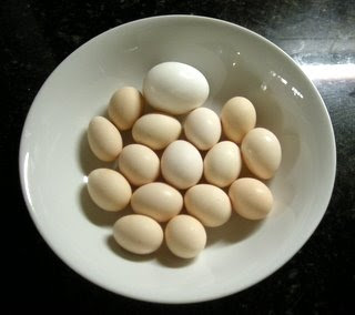 Bantam eggs, Honduras