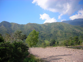 Deforestation, Honduras