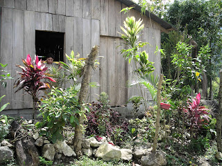 Wood house, Honduras