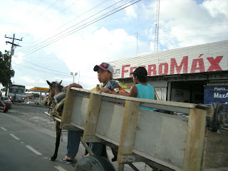 Horse and cart, La Ceiba, Honduras