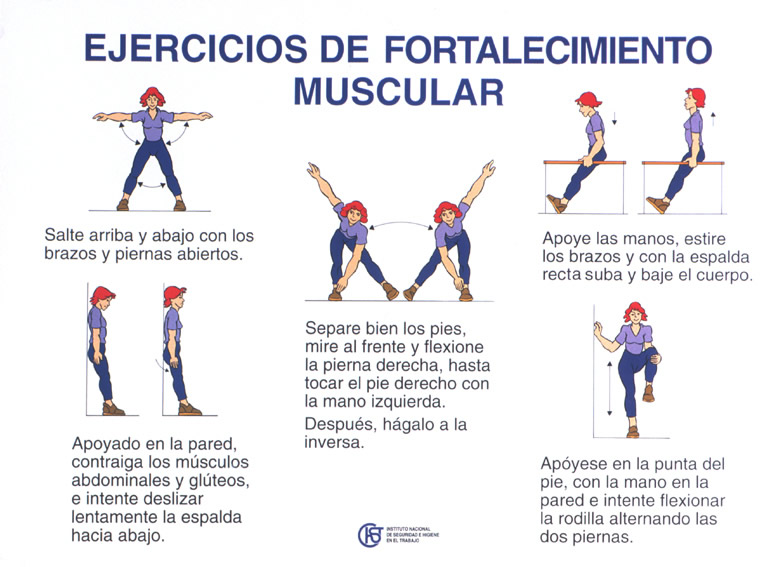 Leer sobre calcular metabolismo basal vitonica