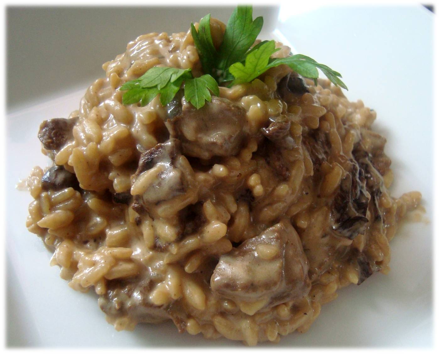 Cuca na Cozinha Risoto com filé mignon e funghi chileno