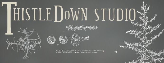 Thistledown Studio: Sticks and Stones