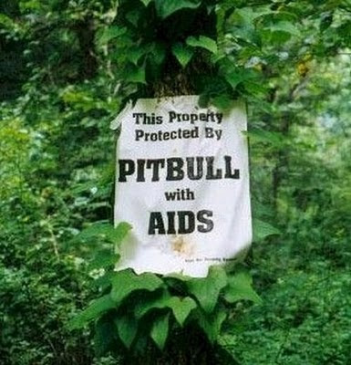 funny-sign-jungle-pittbull-with-aids