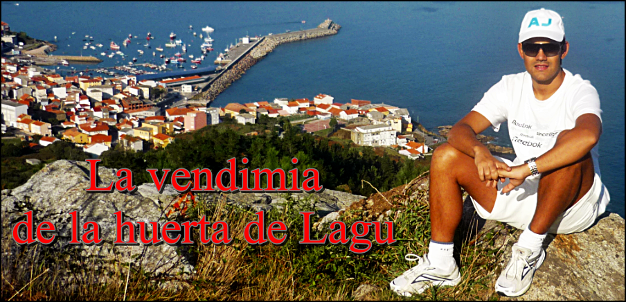 Blog personal de Laguna