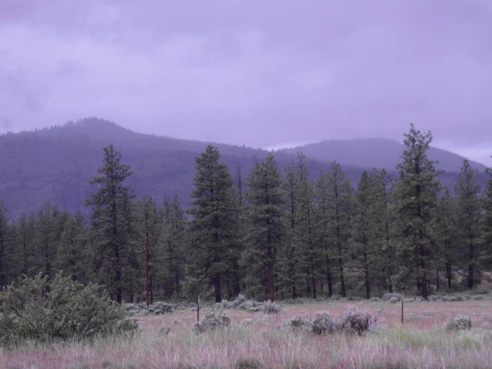 Townes Across America Day 6 Okanagan, WA to Tonasket, WA