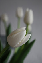...tulipanar