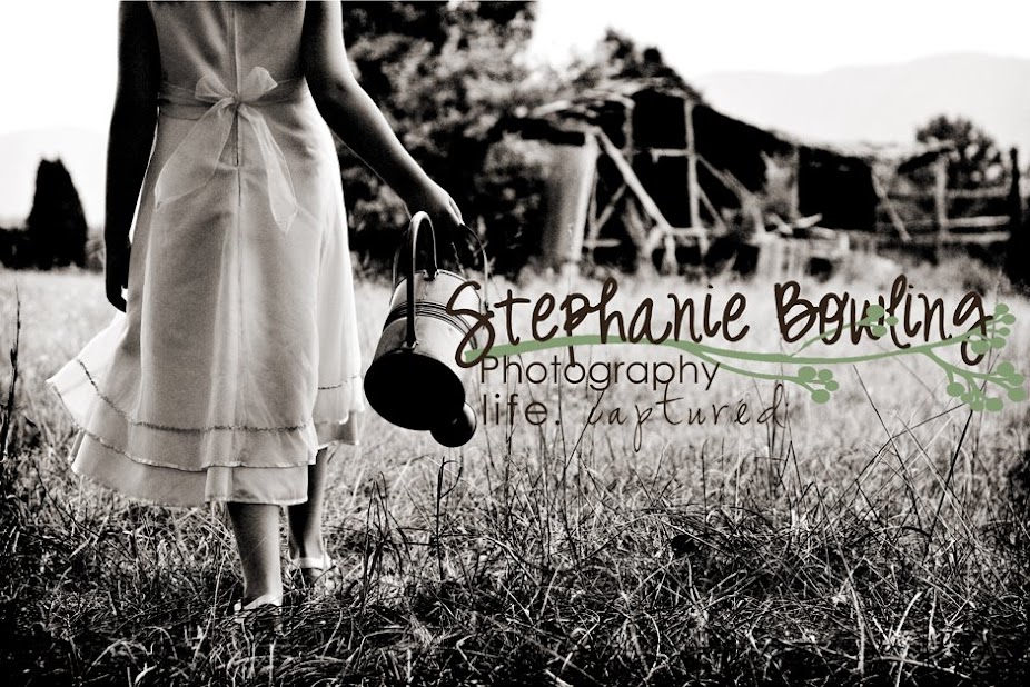 Stephanie Bowling Photography