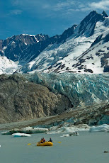 Famoso Nº 3 : Walker Glacier