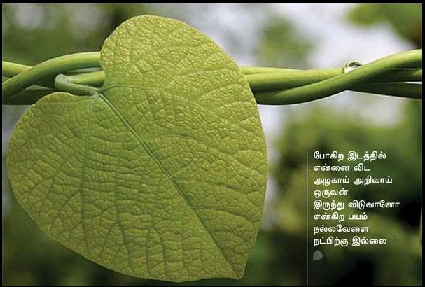 Cute Pictures Tamil Friendship Quotes With Images Beautiful Images Tamil Friendship Quotes Friends Tamil Quotes Wallpapers Free Download
