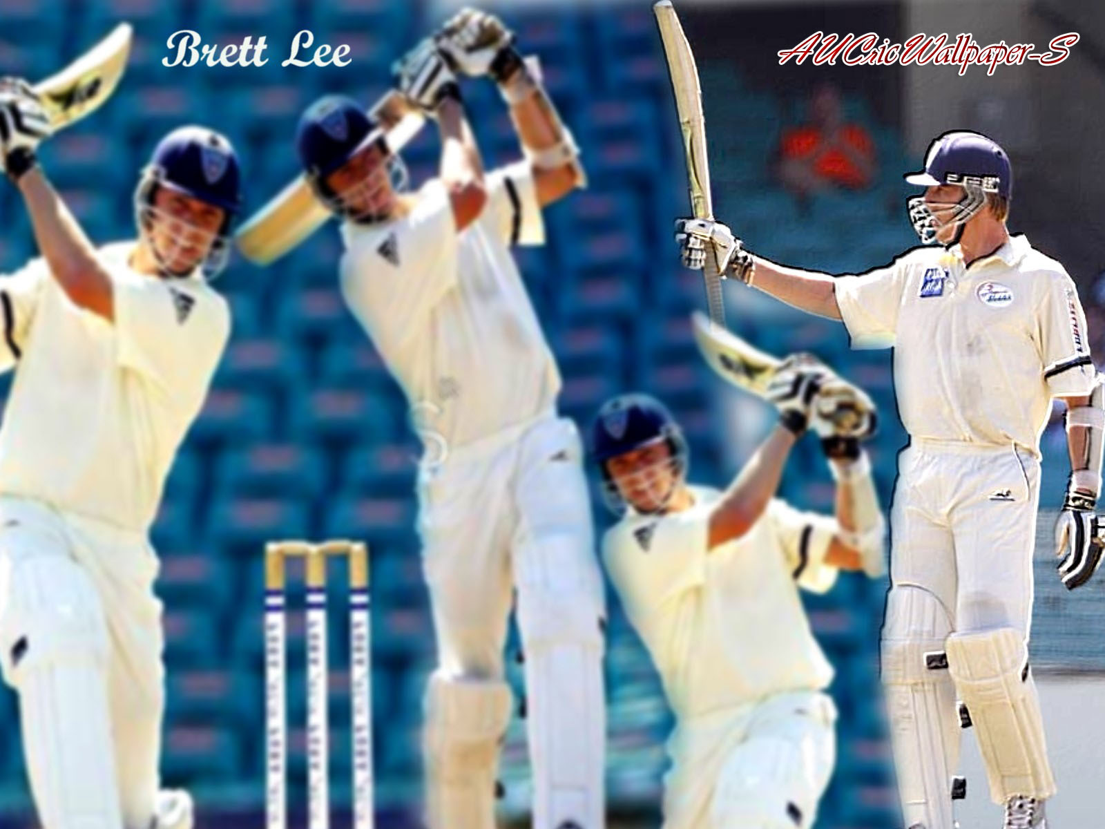Australian Cricket Team Wallpaper Brett Lee Batsmen Wallpaper