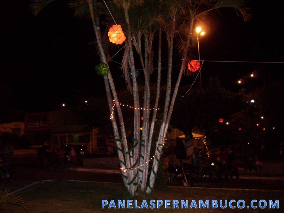 [panelas+pernambuco+04.JPG]