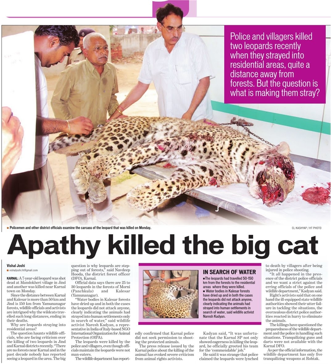 Leopard killings for no reasons in Haryana