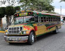CAMIONETAS DE PARRILLA