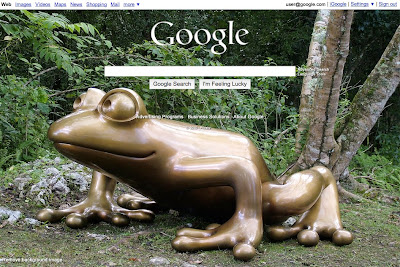 customized google.com home page screenshot with a frog