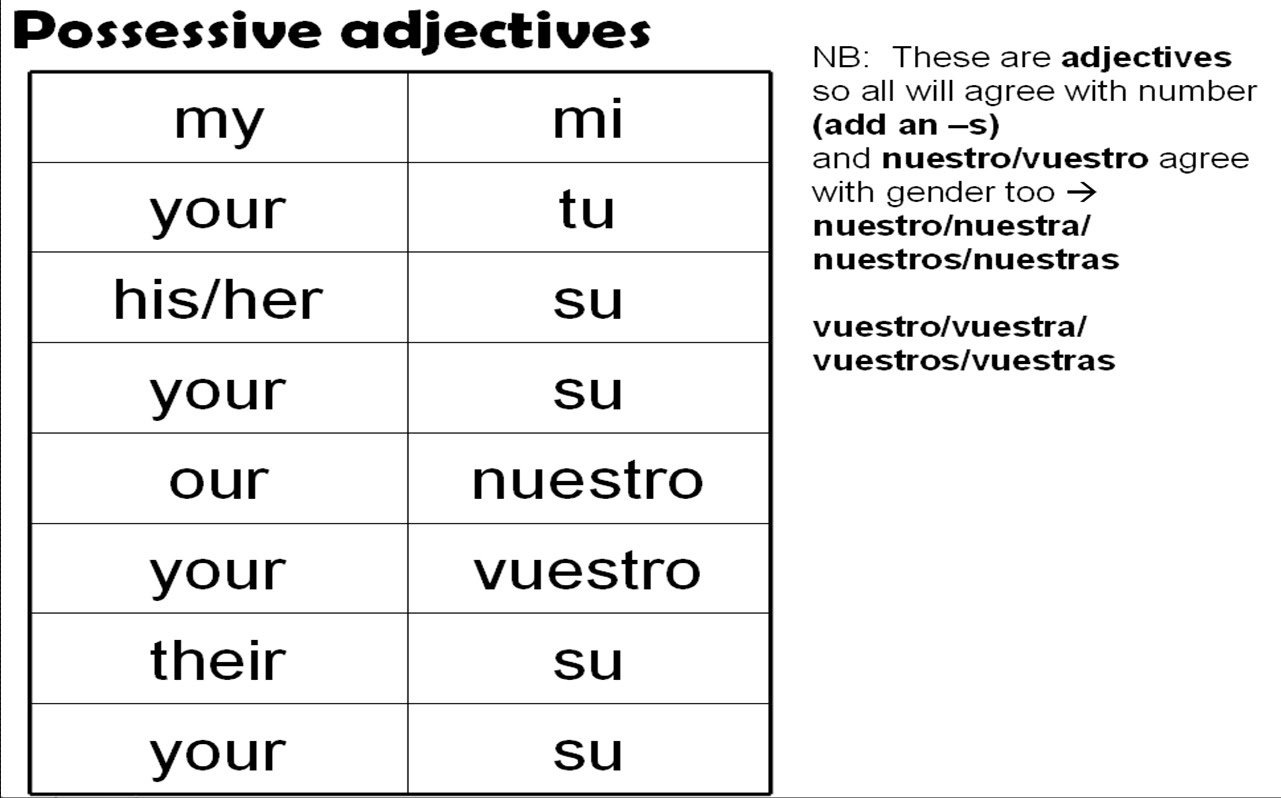 para-practicar-los-adjetivos-posesivos-1-les-adjectifs-possessifs-images-and-photos-finder