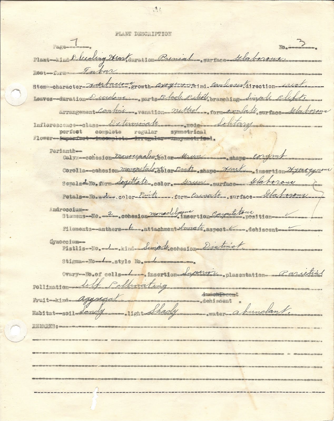 Waxing and Waning The Cousin Connection Botanical Specimens