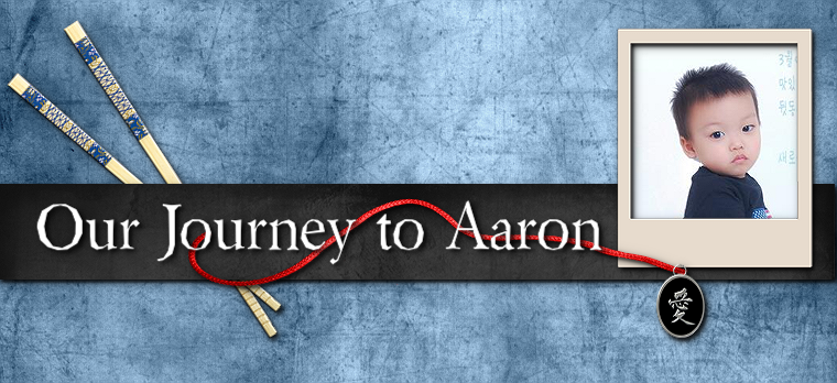 Our Journey to Aaron