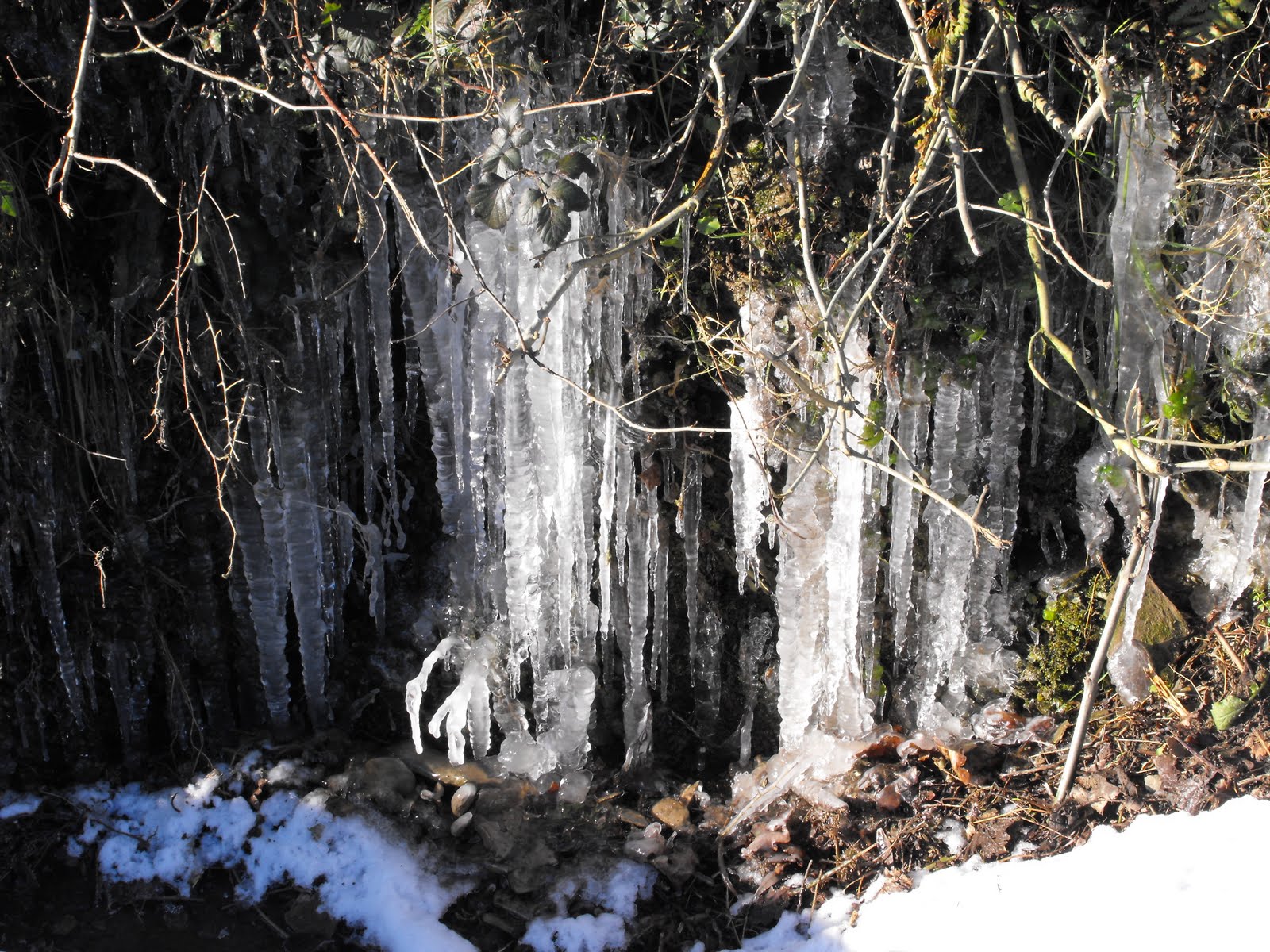 [2010_01082009Septcarewcastle0009.JPG]