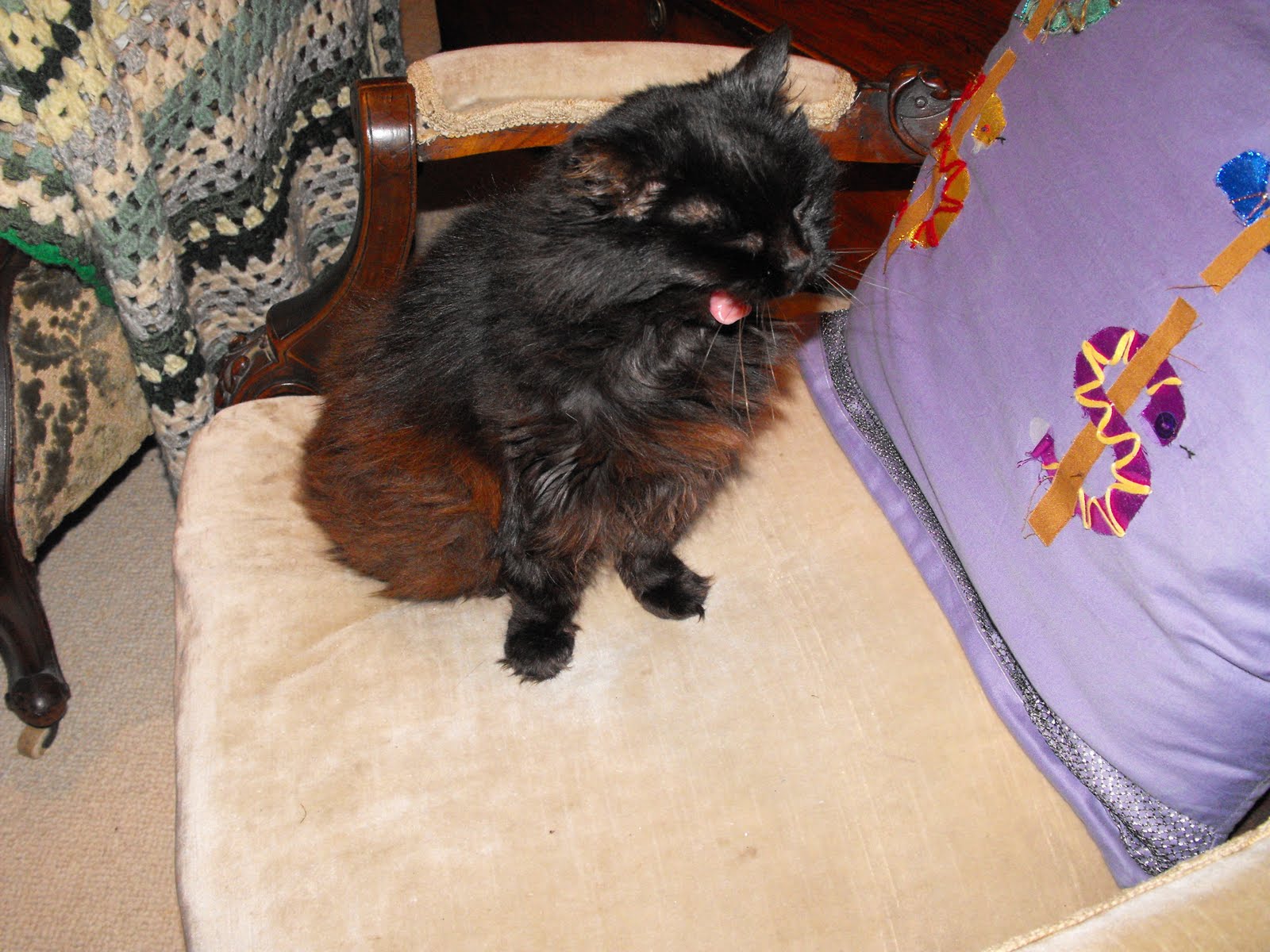 [2009_12312009Septcarewcastle0009.JPG]