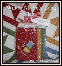 Winter All Year Long Quilt Kit for Purchase