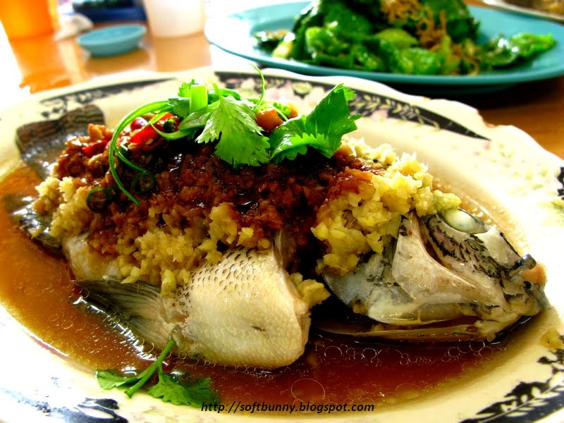 SoFtBuNnY Bunny Eats Steamed Fish Lan Jie, Kota Damansara