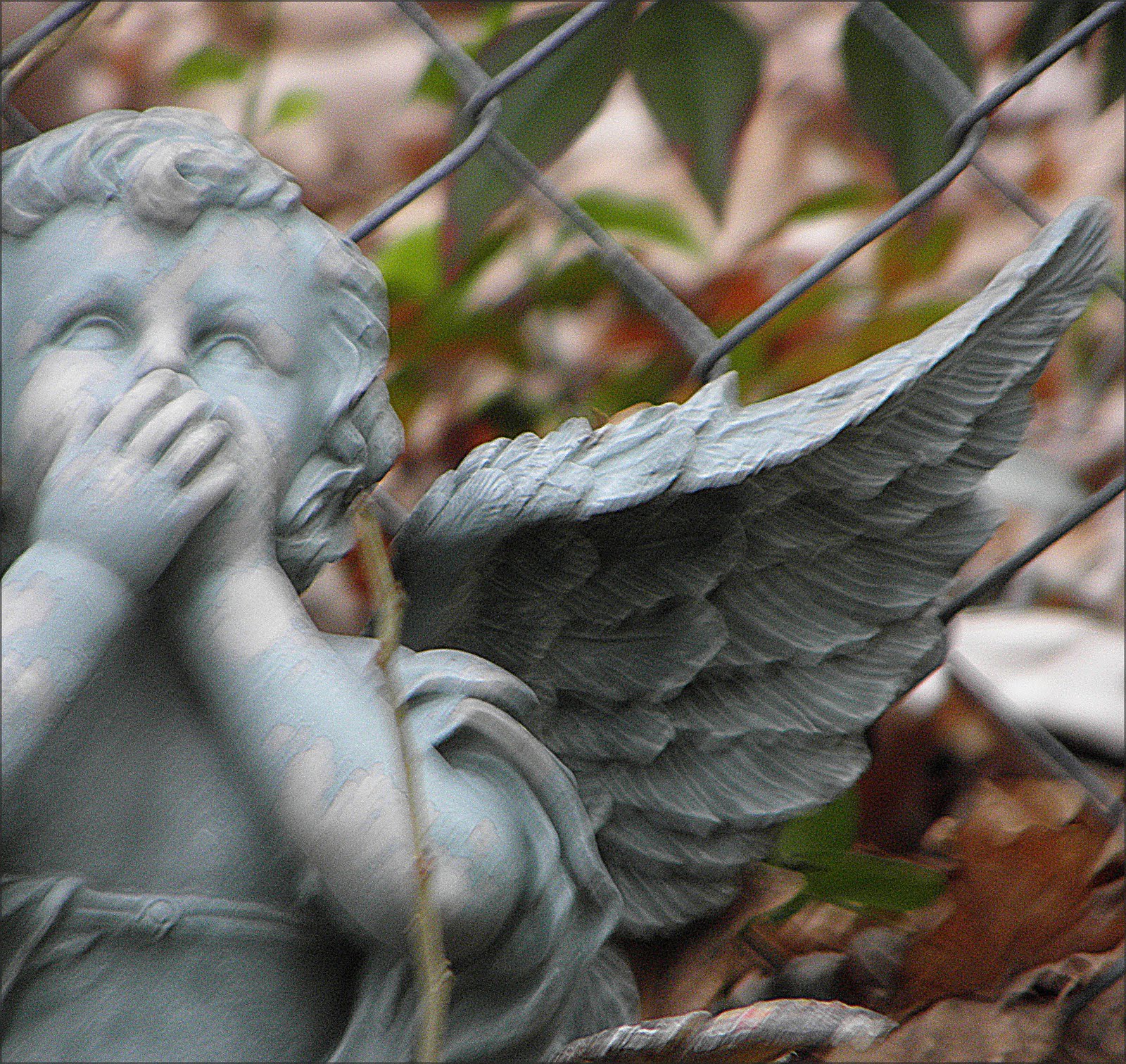 [2009_12_08+028.jpg]